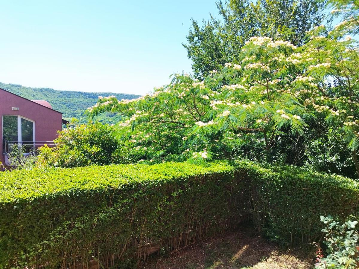 Green, Quiet And Beautiful 1 Apartment Kavarna Exterior photo